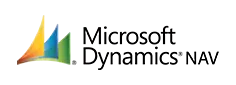 1718803672microsoft-navision-66714d445fe13