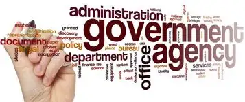 Government & Public Sector