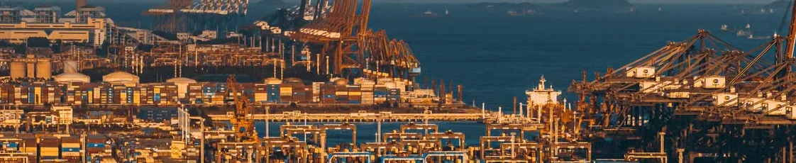 Shipping containers at a customs dock awaiting clearance