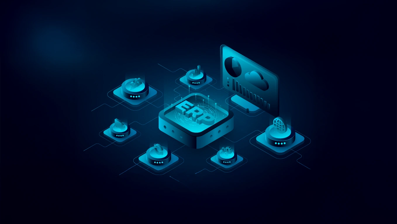 How To Customize ERP Software Without Breaking The Bank?
