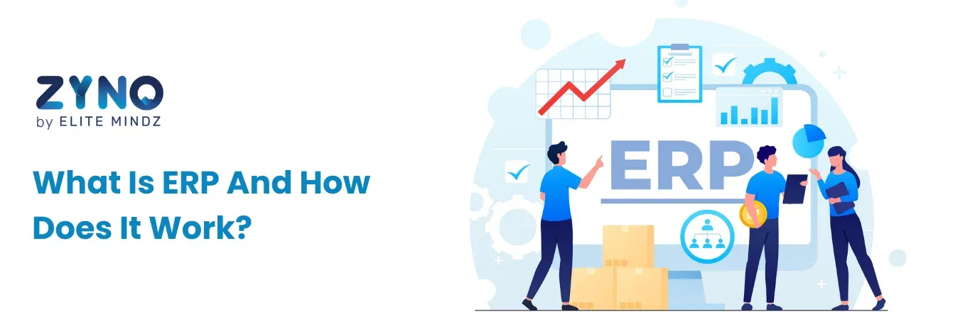 ERP and how does it work