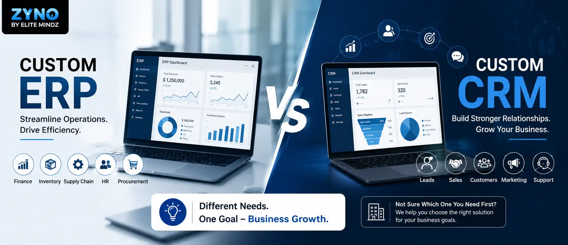 Custom ERP vs Custom CRM