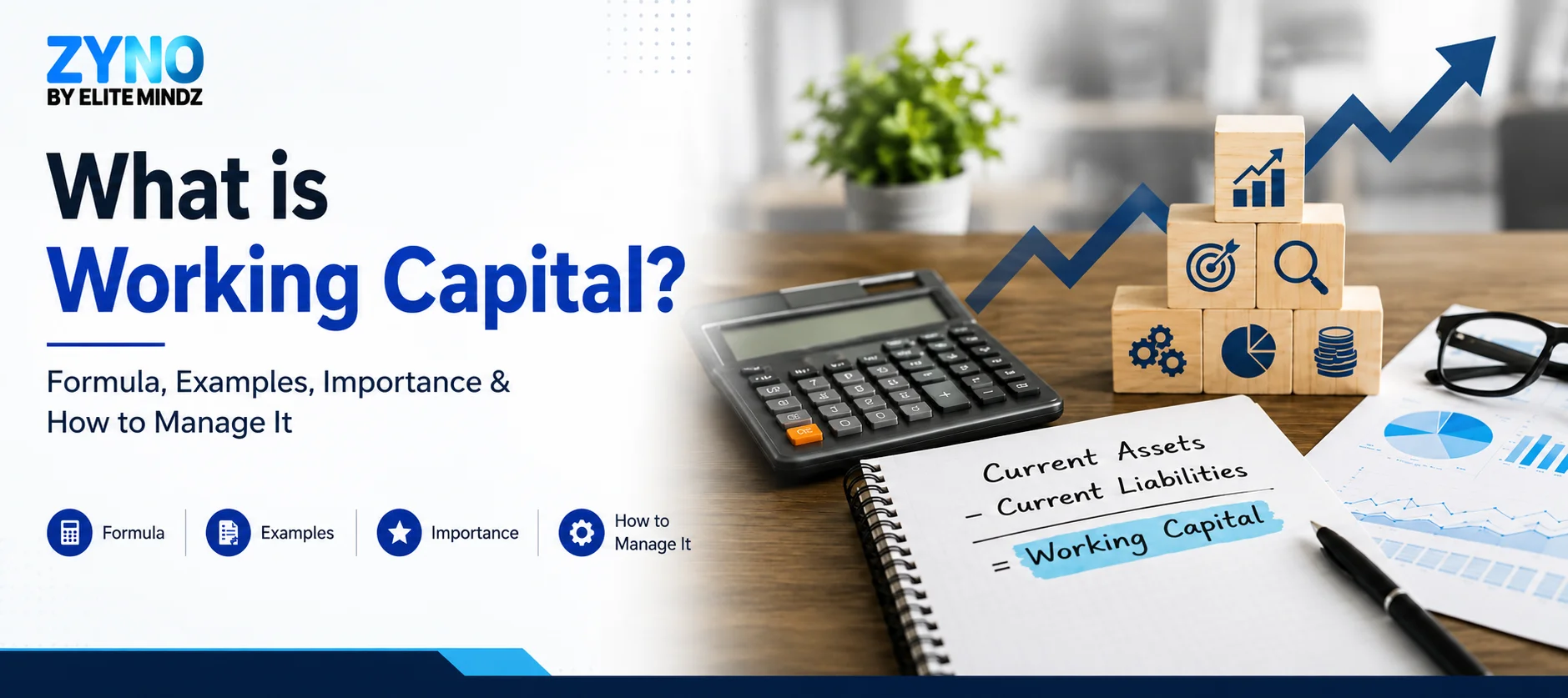 What is Working Capital