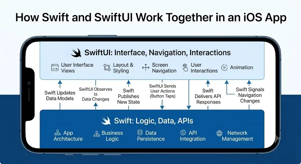 Diagram showing how Swift handles app logic while SwiftUI handles the user interface