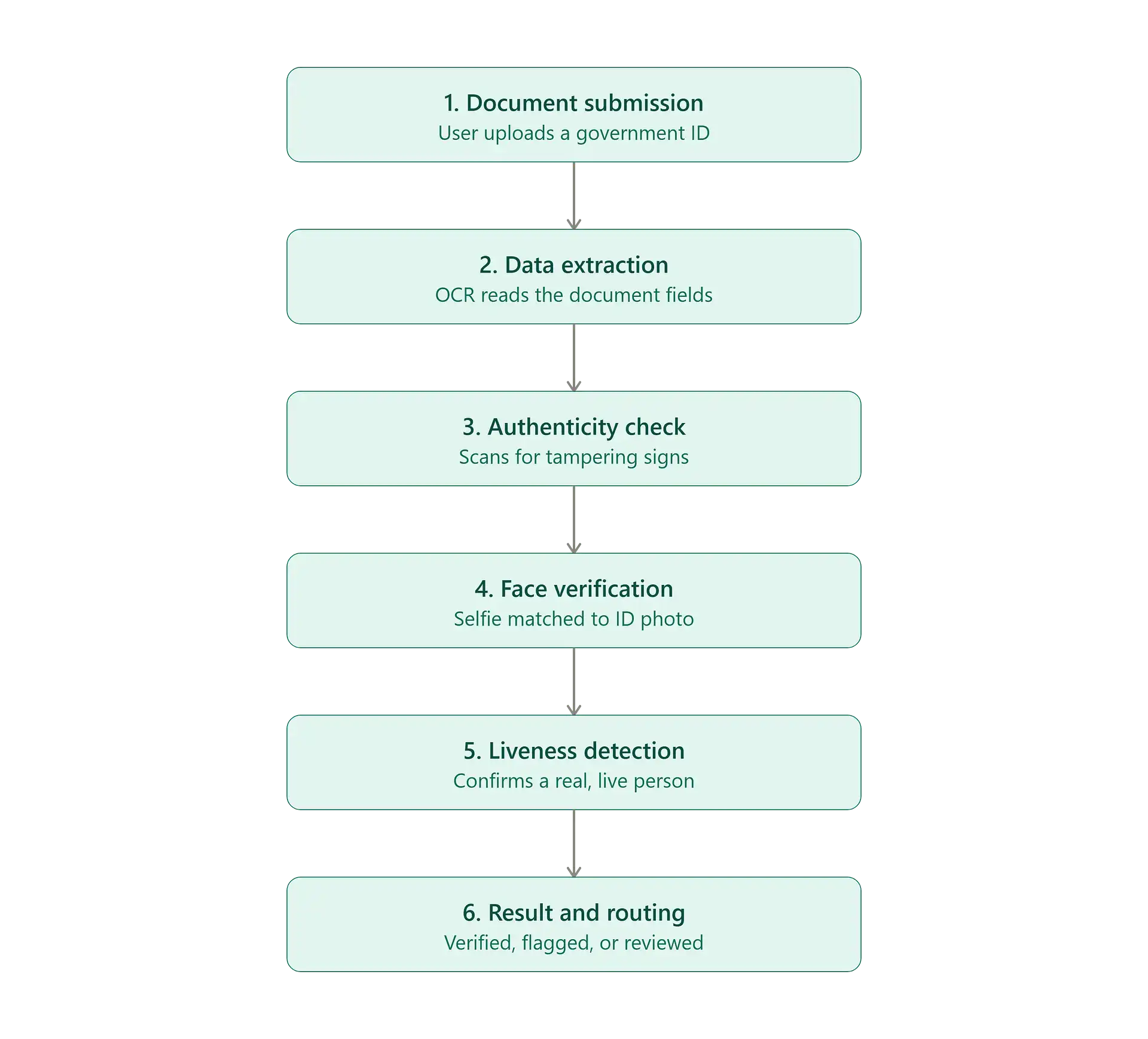 six-step verification process of AI Identity Verification Software