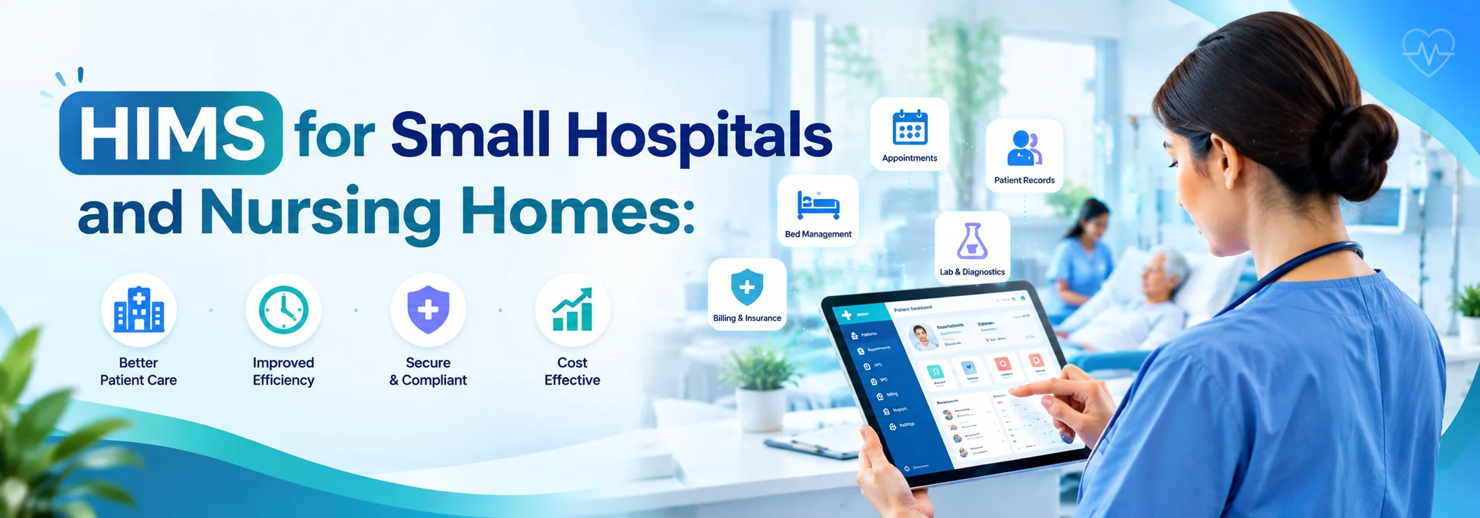 HIMS for Small Hospitals